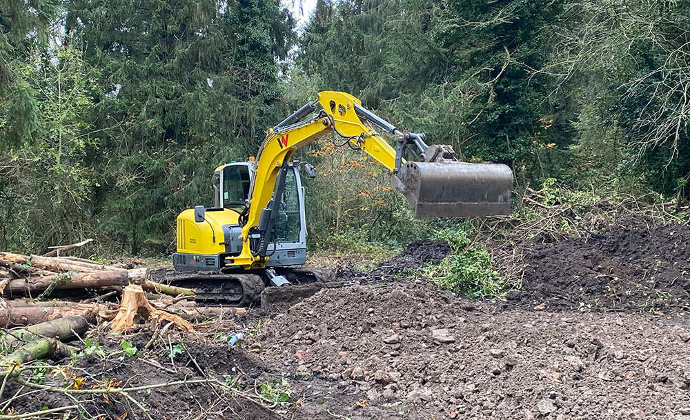 Forestry Management Services in and close to Chester.